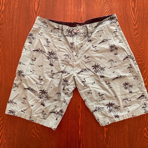 Beverly Hills Polo Club men’s 34 Teal Shorts with palm trees and flamingo print - Picture 1 of 8